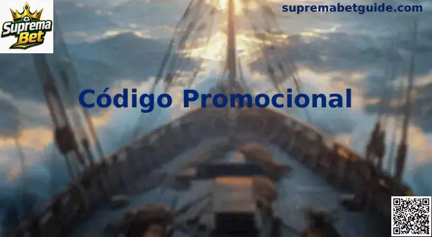 Interface explicativa sobre Código Promocional no Brasil