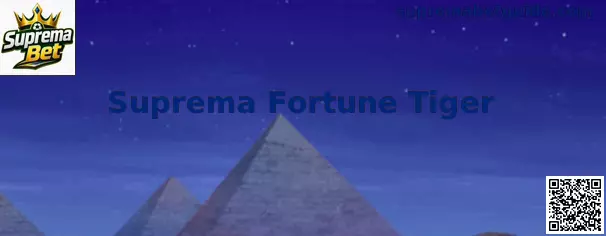 Interface ilustrativa do Suprema Fortune Tiger
